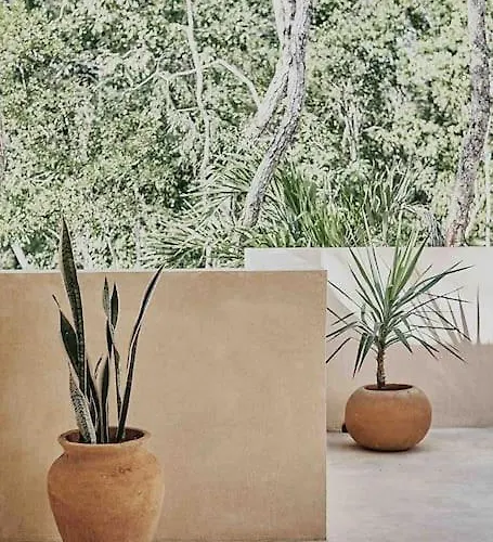 Pousada Casa Pacha Alma - Jungle